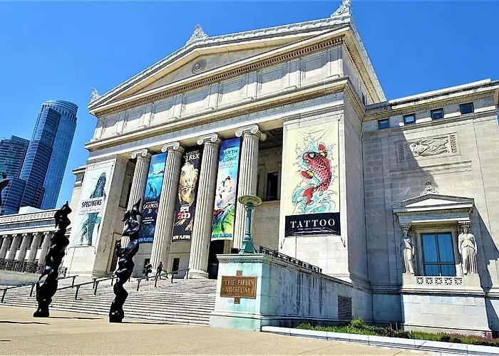 Apartment Cozy 3br Living In South Loop Near Mccormick Place, Soldier Field & Lakefront